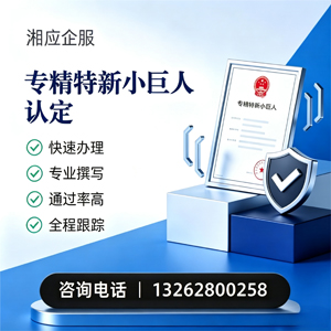焦作专精特新小巨人申报服务