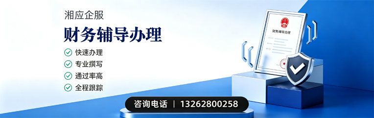 焦作财务辅导申请服务
