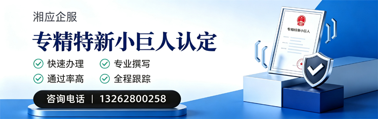 焦作专精特新小巨人申报服务